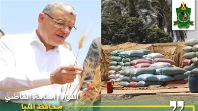 شون وصوامع المنيا تستقبل 405 ألف طن من محصول القمح لموسم حصاد 2024