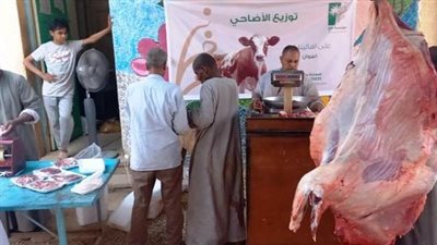 محافظ أسوان يشيد بجهود الجمعيات لتوزيع لحوم 8 عجول و400 وجبة إفطار