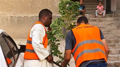محافظ أسوان يوجه بتكثيف الجهود لزيادة المسطحات الخضراء وزراعة الأشجار