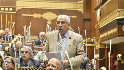 وكيل طاقة الشيوخ: علي الحكومة الاستعداد لموجات التحول الرقمي ومواكبة العالم