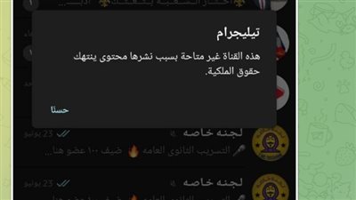 بعد غلق عدد من قنواتها.. «شاومينج» تتحدى وزارة التعليم وتوجه رسائل لمتابعيها 