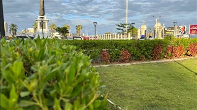 مبادرة «حدائق بلا أسوار ثقافة بلا جدران» تحول بورسعيد لمدينة خضراء 