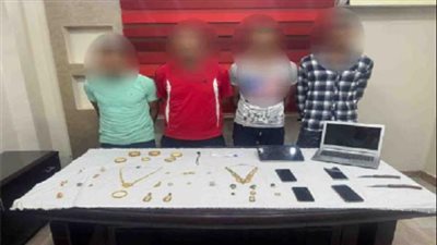 عصابة مسلحة تقتحم منزل رجل ثري بالفيوم