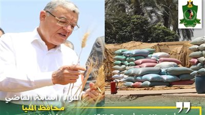 انتظام عملية توريد محصول القمح بالمنيا