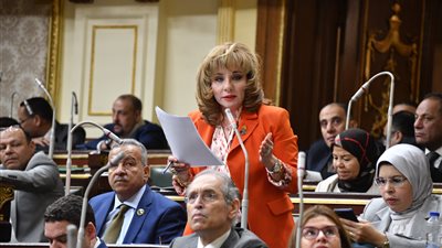 سياحة النواب تناقش الثلاثاء المقبل أزمة الحجاج المصريين المفقودين