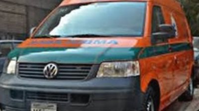 مصرع طفل إثر سقوطه من أعلى عربة كارو بأبو النمرس 