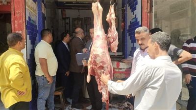 «تموين المنيا» يحرر 117 محضرًا متنوعًا خلال حملات تفتيشية على المخابز والأسواق