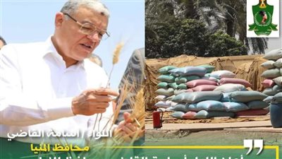 صوامع المنيا تواصل استقبال القمح وتوريد 416 ألف طن منذ بدء الموسم