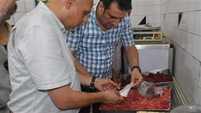 حملات تفتيشية وراء ضبط لحوم ودواجن فاسدة ومبيدات مجهولة بمركز بسيون