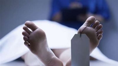 مصرع مسن فى حادث أليم على طريق «جمصة-المنصورة»