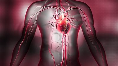 ما هو مرض صمام القلب الذي يؤدي إلى الوفاة المبكرة؟