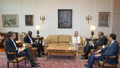 وزير الخارجية يعرب عن تقديره لدعم البنك الدولي للجهود الاقتصادية في مصر