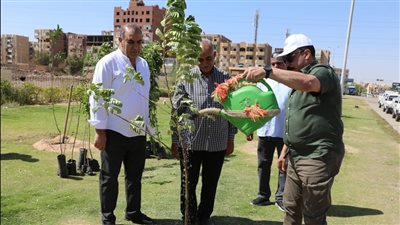 محافظ أسوان يقوم بزراعة مجموعة من الأشجار لمواجهة موجة الحر