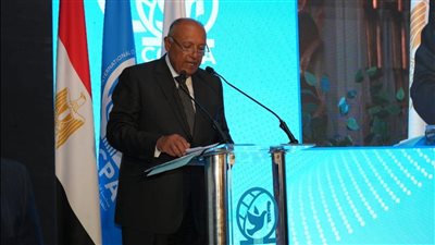 بحضور سامح شكري وعمرو موسى.. مركز القاهرة الدولي يحتفل بعيده الثلاثين