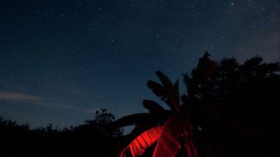 الأرض تبوح بسرها للعلماء.. لماذا نعيش وحدنا في هذا الكون؟