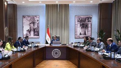 رئيس الوزراء يلتقي وزير الاستثمار والتجارة الخارجية