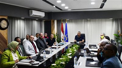 محافظ أسوان: تنظيم ورشة عمل للمشاركة بالمبادرة الوطنية للمشروعات الخضراء 