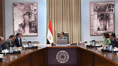 تنسيق على أعلى مستوى بين المالية والبترول لسداد مستحقات شركات توفير الطاقة لمحطات الكهرباء