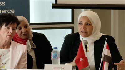 «الضرائب»: تشجيع الاستثمار من أوائل الملفات التي يتم العمل عليها (صور)