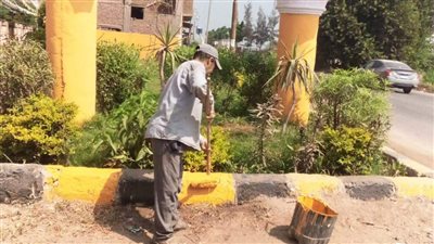 متابعة مكثفة من محافظ الغربية لأعمال التجميل وزراعة أشجار الزينة بالمراكز والمدن 