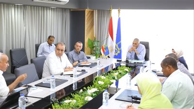 محافظ أسوان: وضع الحلول الجذرية لمشاكل مياه الشرب والصرف الصحى بالمناطق الساخنة