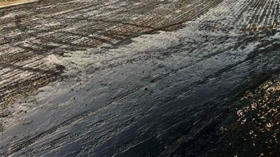 محافظ الغربية يتابع الأعمال الجارية في كورنيش المحلة الجديد