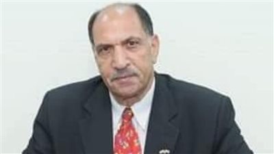 اتحاد المصريين في الخارج يرحب بقرار عودة إشراف وزارة الخارجية على رعاياها