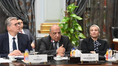 وزير الكهرباء يعرض برنامج عمل الوزارة أمام اللجنة البرلمانية المختصة بمناقشته