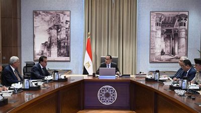 مدبولي يُتابع الموقف التنفيذي للمشروع القومي للاكتفاء الذاتي من مشتقات البلازما