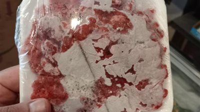 ضبط 4 أطنان دواجن ومصنعات لحوم فاسدة في القليوبية 