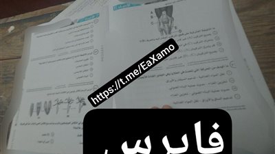 بعد 19 دقيقة.. تداول امتحان الأحياء للثانوية العامة 