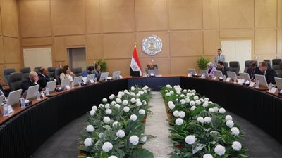 وزير الكهرباء يتابع أعمال تنفيذ خط الربط المصرى السعودى