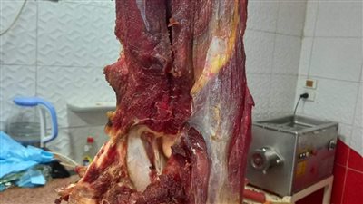 تقرير خطير على مكتب وزير الزراعة يكشف لغز انتشار لحوم ودواجن وأسماك فاسدة