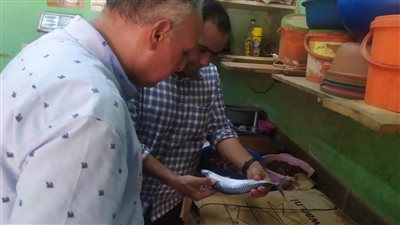 حملة تفتيشة مفاجئة وراء ضبط «بلاوي» في الأسواق والمخابز بطنطا