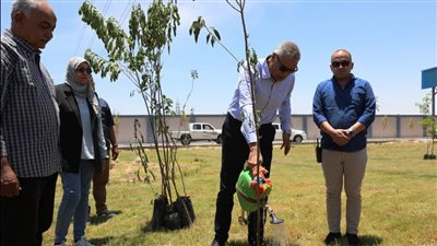محافظ أسوان يزرع أشجار ظل ومثمرة في كوم أمبو