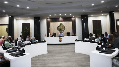 محافظ أسوان: وضع منظومة للعمل الأهلى والتطوعى لتحقيق أكبر استفادة للمساعدات الإنسانية