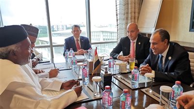 تفاصيل لقاء وزير الخارجية مع نظيره النيجيري 