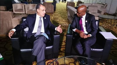 وزير الخارجية يلتقي نظيره التنزاني على هامش أعمال القمة التنسيقية للاتحاد الإفريقي