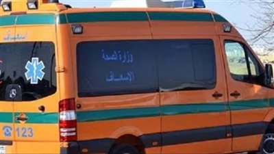 بينهم طفلان.. إصابة 4 أشخاص بلدغات عقارب في الوادي الجديد