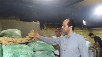 حملة تموينية مكبرة على مخابز 5 قرى بالمحلة.. تفاصيل