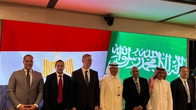 وزير الكهرباء: مشروع الربط الكهربائي يلقى كل الدعم من الجانب السعودى