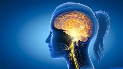 مشكلة بيولوجية لدى الأطفال المشاغبين تجعلهم يلجأون للعنف