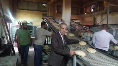 محافظ الغربية يكشف حصيلة الحملة المكبرة على المخابز البلدية بقري المحلة 