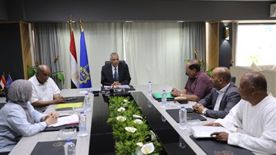 محافظ أسوان يلتقى بأعضاء مجلسى النواب والشيوخ