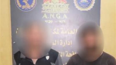 الداخلية.. ضبط عناصر إجرامية بحوزتهم مخدرات بقيمة 2 مليون جنيه