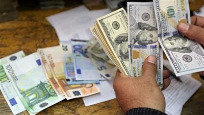 20 مليون جنيه.. حصيلة قضايا الاتجار بالنقد الأجنبي خلال 24 ساعة