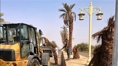 عقب استقرار الأحوال الجوية بشكل كامل.. مدينة أبو سمبل تفتح أبوابها للزائرين