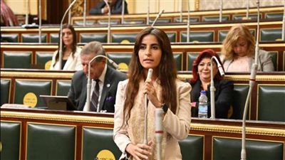 عضو بـ«خارجية النواب»: الرئيس السيسي هو الأكثر حرصًا على تنفيذ توصيات جلسات الحوار الوطني