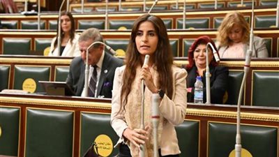 «شريان حياة جديد».. النائبة إيلاريا حارص تكشف عن مكاسب إطلاق حملة «إيد واحدة» 