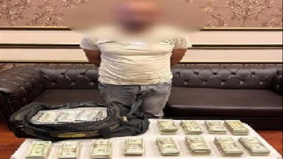 ضبط مرتكب واقعة سرقة 72.5 مليون جنيه من شركة استثمار عقاري بالدقي